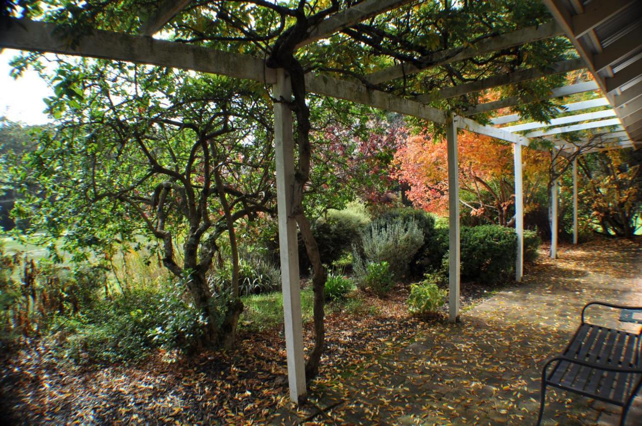 Villa Big Brook Retreat à Pemberton Extérieur photo